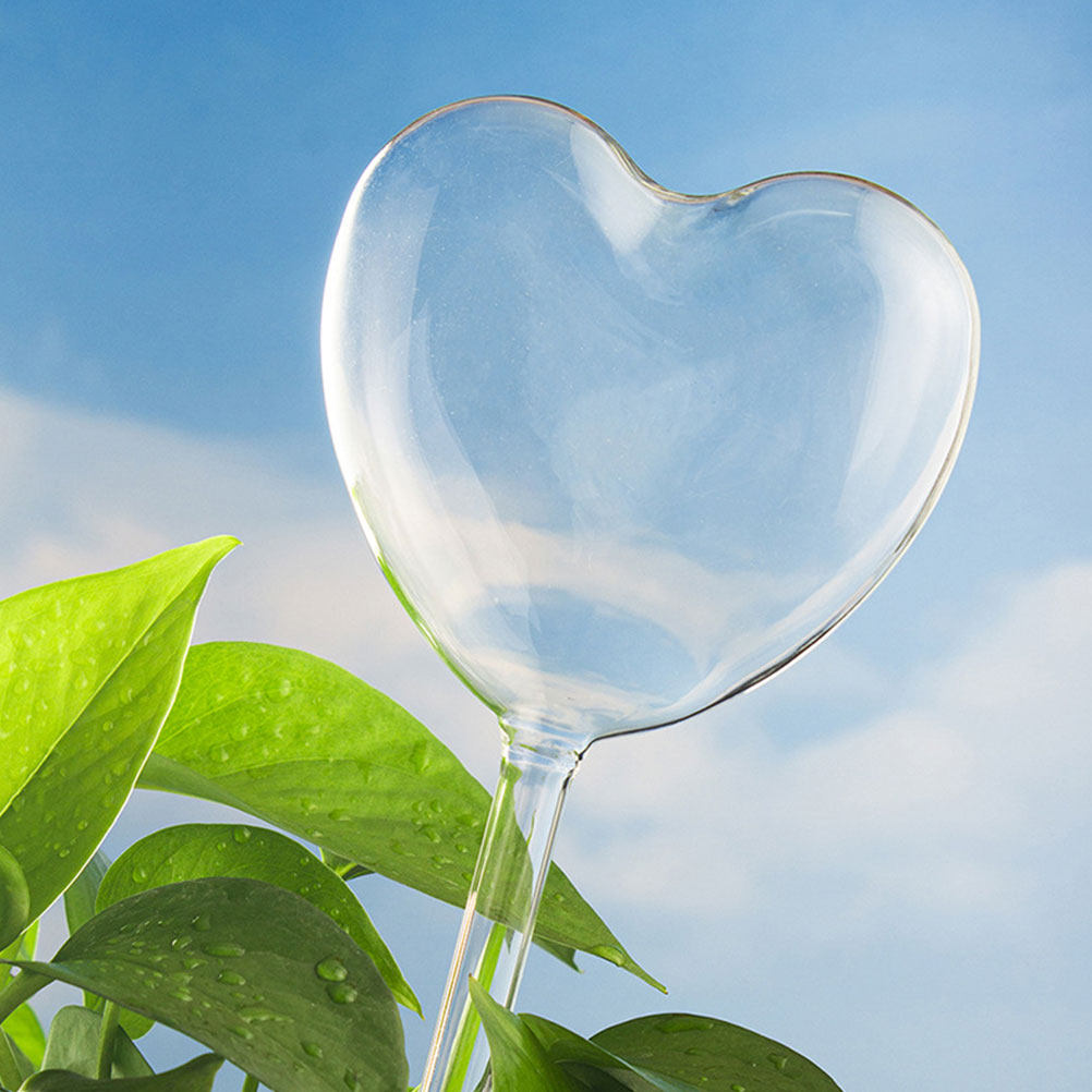 Bonsai Gardenia - 3Pcs Heart Shaped Glass Self Watering