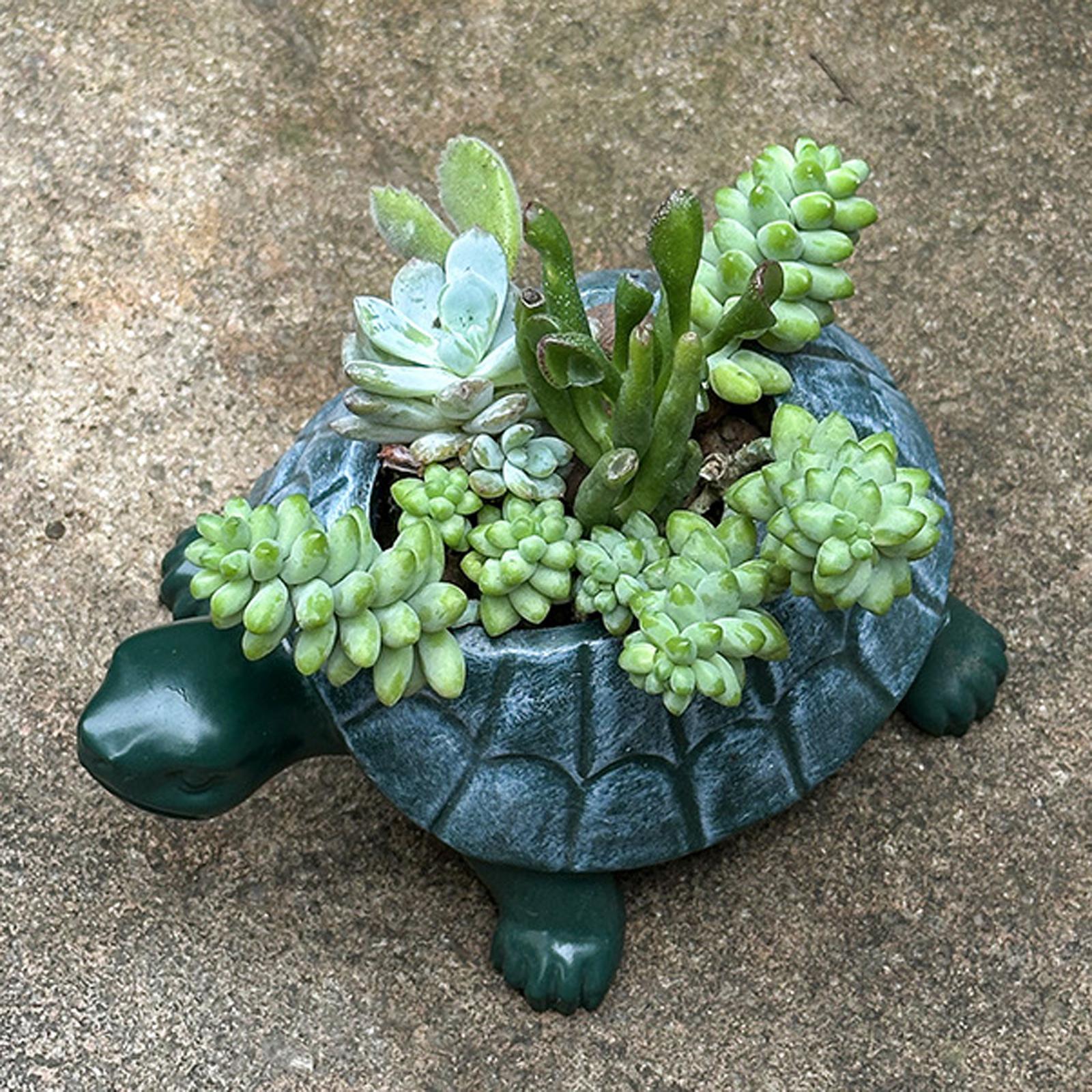 Bonsai Garden Restaurant - Turtle Planter Flower Pot Bonsai Pot