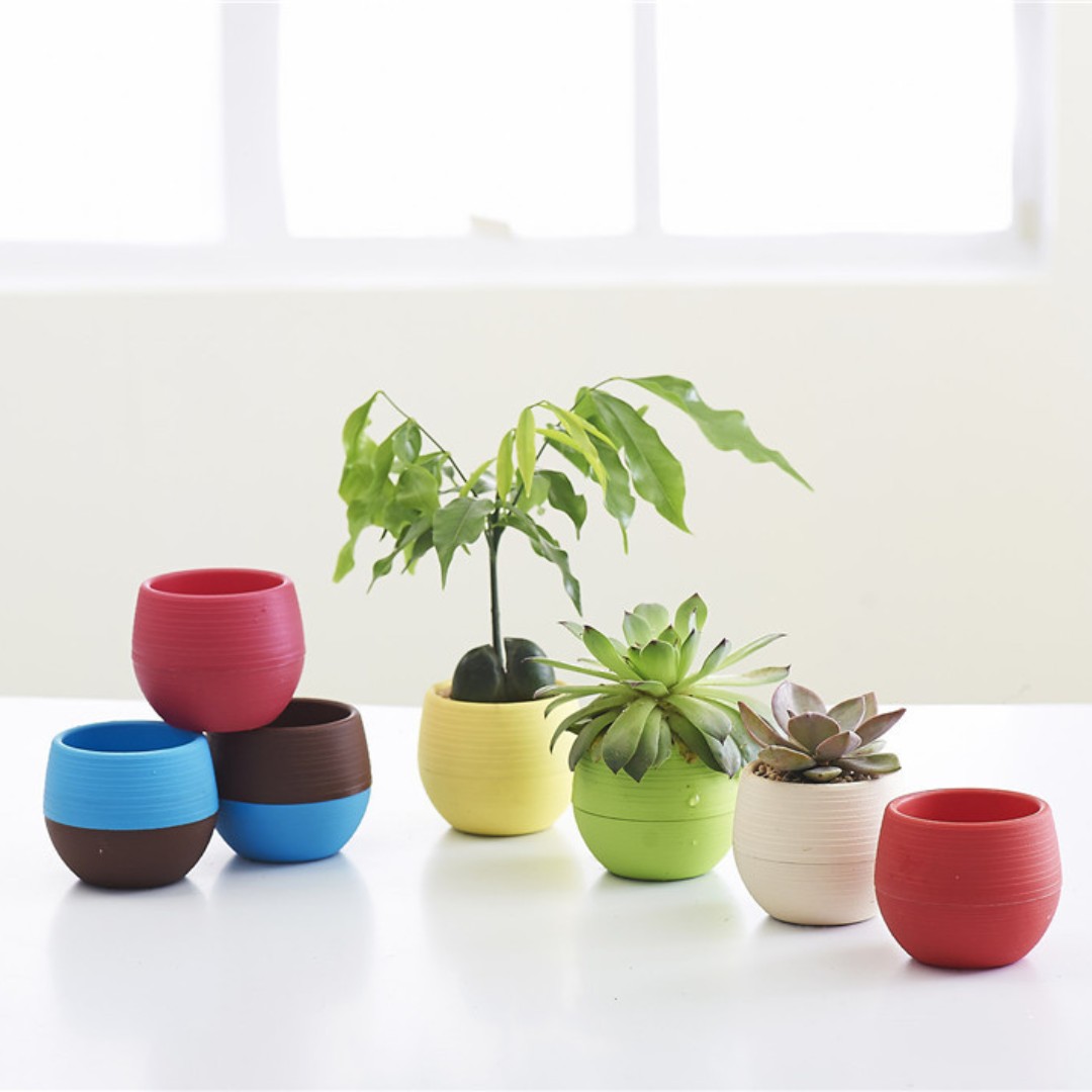Bonsai Garden Nursery - Gardening Mini Plastic Flower Pots Nursery