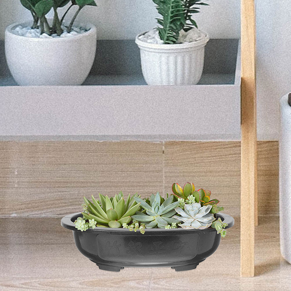 3Pcs Extra Large Oval Bonsai P - огляд і ціна Bonsai Garden Nursery