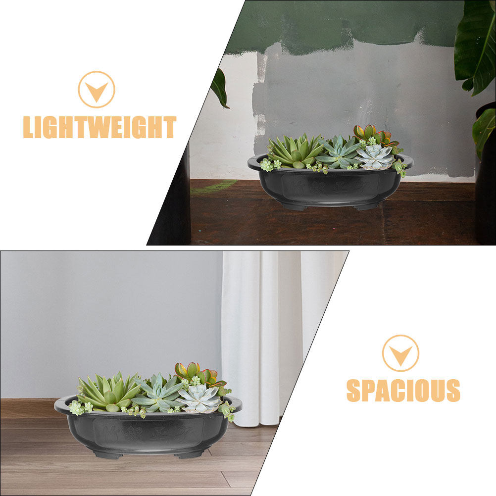 3Pcs Extra Large Oval Bonsai P - огляд і ціна Bonsai Garden Nursery