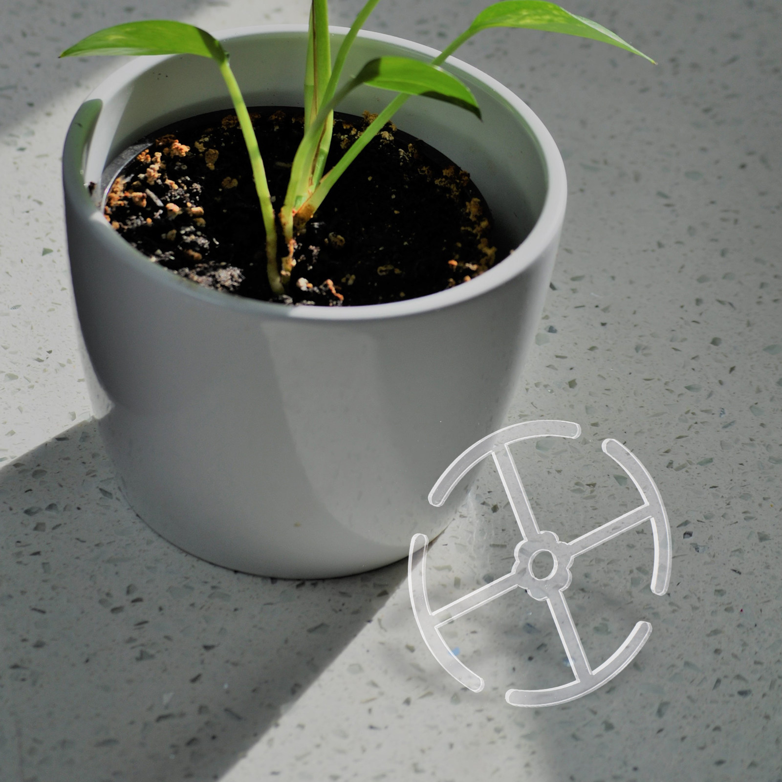 4Pcs Acrylic Stem Support Hold - огляд і ціна Bonsai Vertical Garden