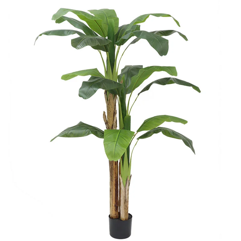 180cm/210cm Large Banana Tree  - огляд і ціна Bonsai Garden Restaurant