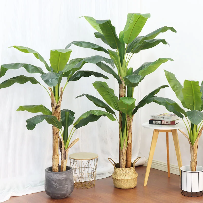 180cm/210cm Large Banana Tree  - огляд і ціна Bonsai Garden Restaurant