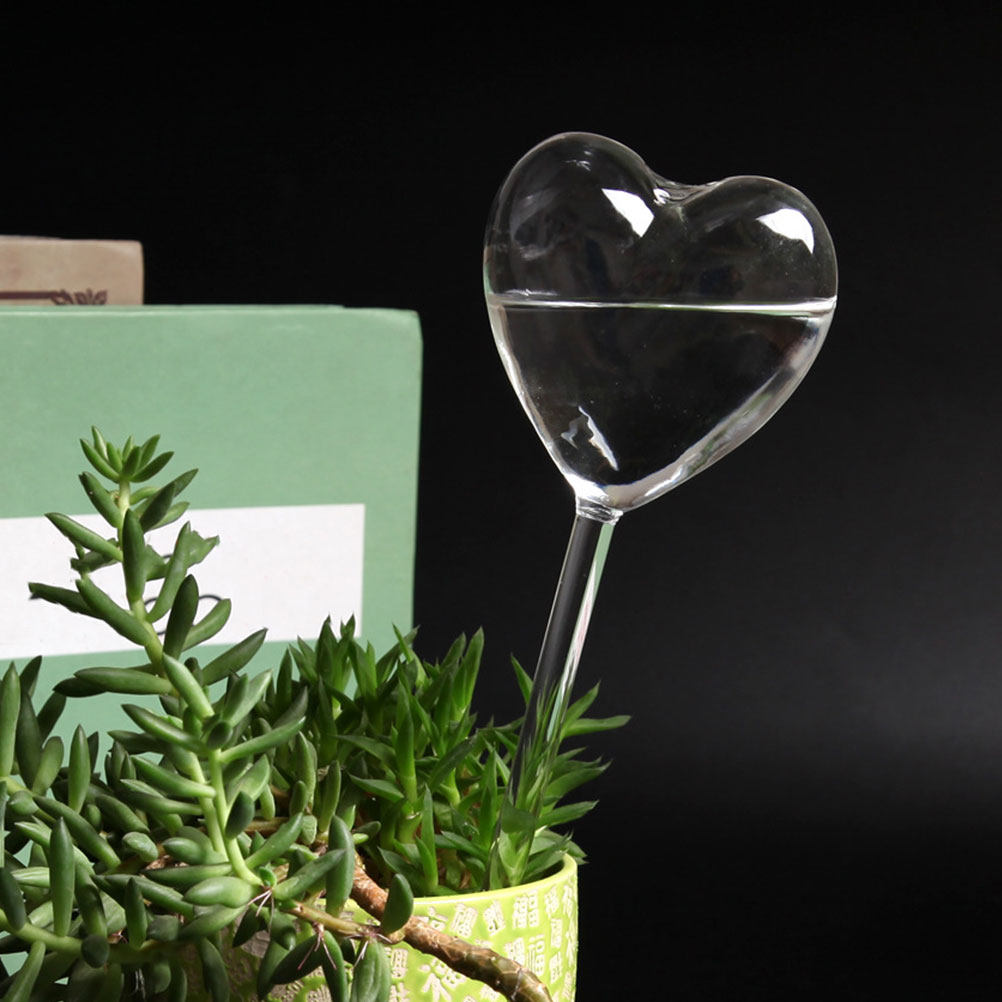 3Pcs Heart Shaped Glass Self W - огляд і ціна Bonsai Gardenia