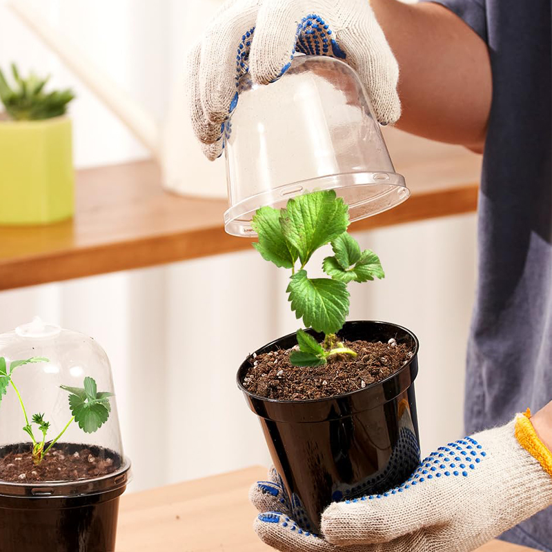 Nursery Pots Flowerpot Gardeni - огляд і ціна Bonsai Garden Nursery
