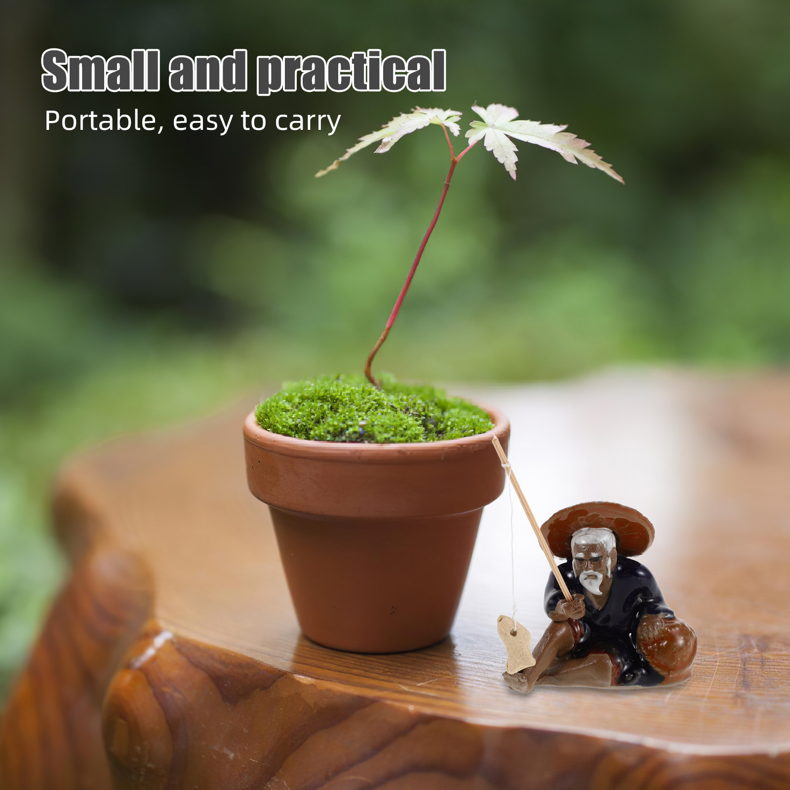 2Pcs Tiny Landscape Decoration - огляд і ціна Bonsai Garden Set Up