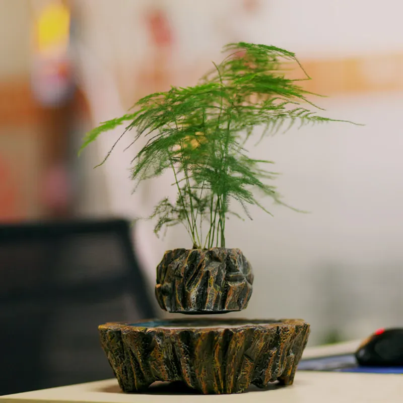 for HCNT Electric Magnetic Lev - огляд і ціна Bonsai Vertical Garden