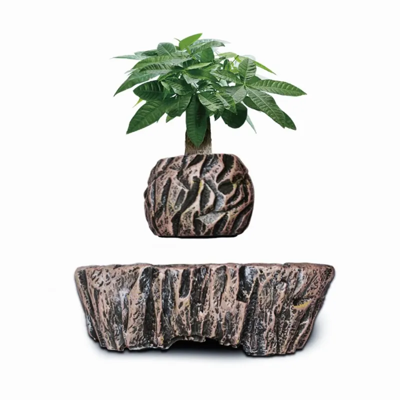 for HCNT Electric Magnetic Lev - огляд і ціна Bonsai Vertical Garden