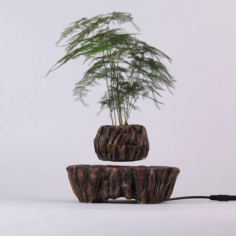 for HCNT Electric Magnetic Lev - огляд і ціна Bonsai Vertical Garden