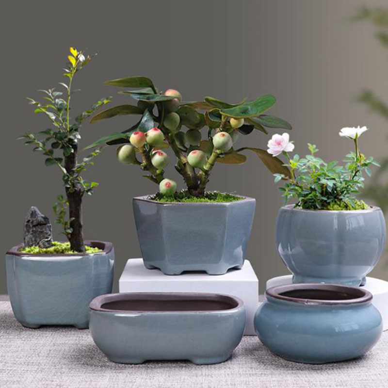 Retro Ceramic Flower Pot Aspar - огляд і ціна Bonsai Gardenia