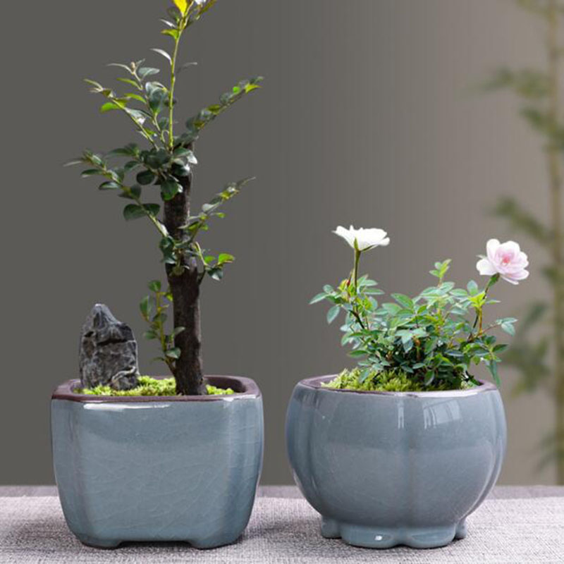 Retro Ceramic Flower Pot Aspar - огляд і ціна Bonsai Gardenia