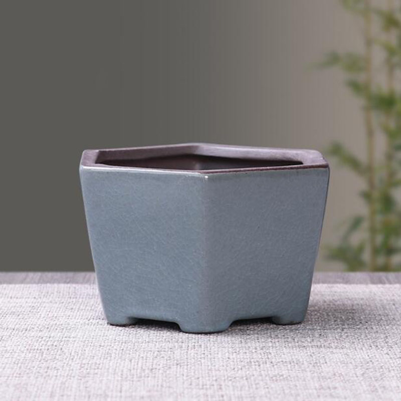 Retro Ceramic Flower Pot Aspar - огляд і ціна Bonsai Gardenia