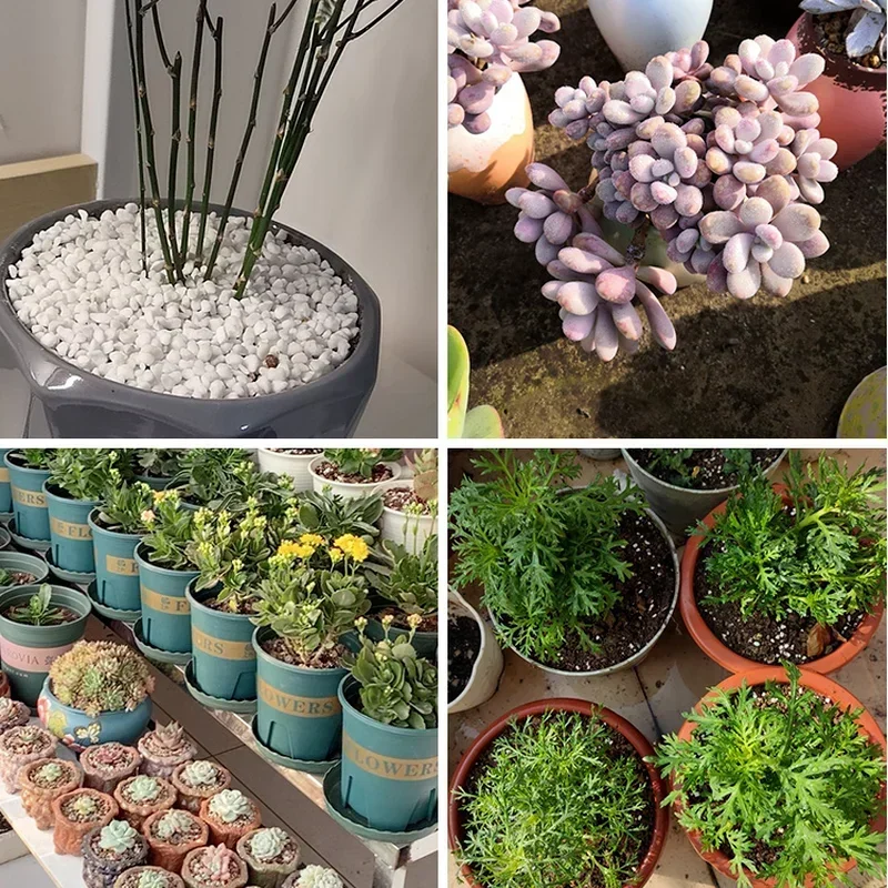 1L/2L Perlite Pellet Configure - огляд і ціна Bonsai Garden Nursery