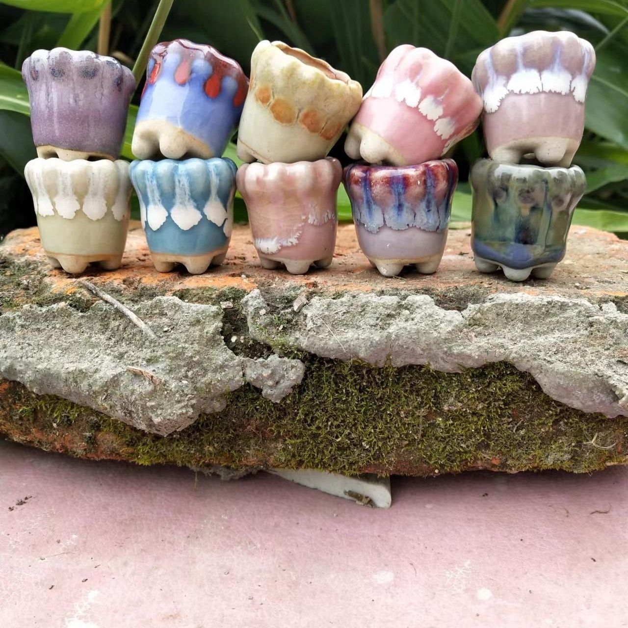 10Pcs Mini Ceramics Fowerpot M - огляд і ціна Bonsai Gardenia