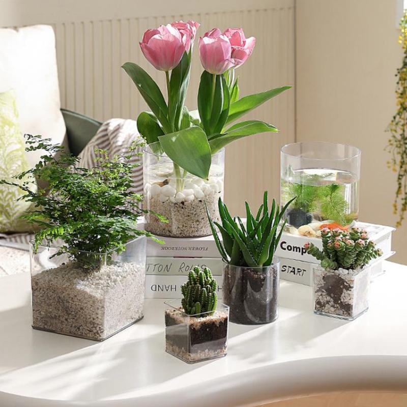Square/Round Transparent Acryl - огляд і ціна Bonsai Garden Nursery