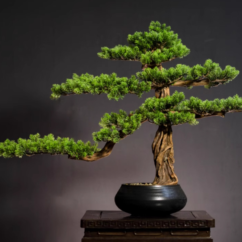Home Welcoming Pine Ornaments  - огляд і ціна Bonsai Garden Entrance