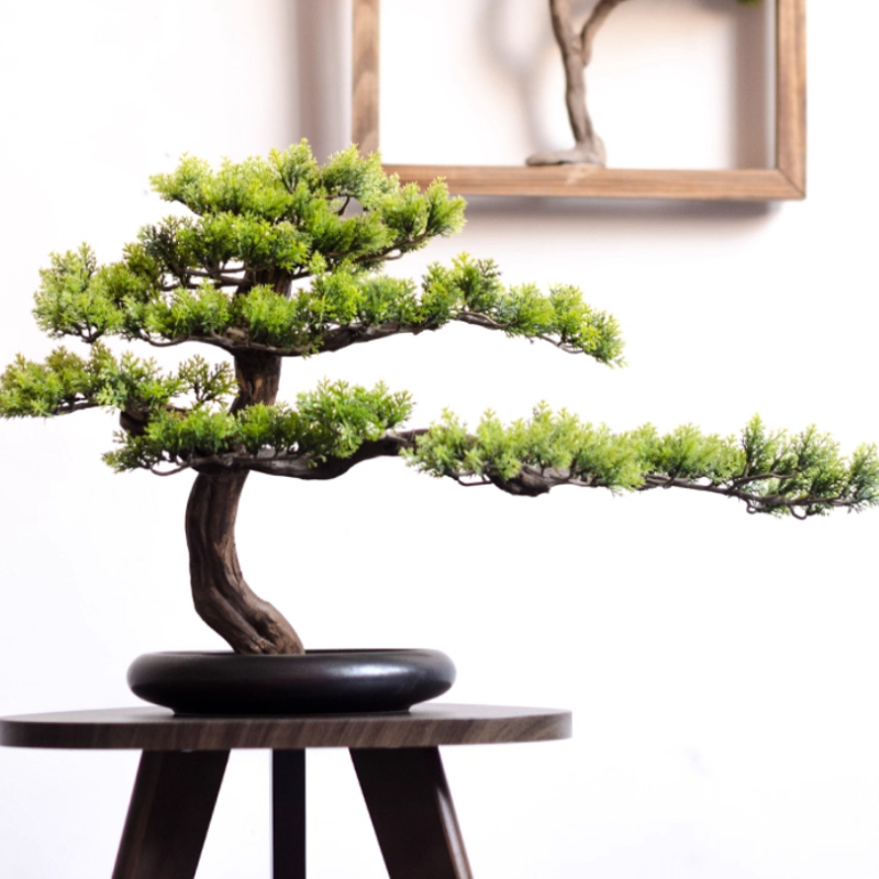Home Welcoming Pine Ornaments  - огляд і ціна Bonsai Garden Entrance