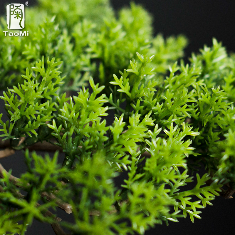 Home Welcoming Pine Ornaments  - огляд і ціна Bonsai Garden Entrance