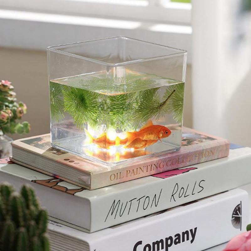 Square/Round Transparent Acryl - огляд і ціна Bonsai Garden Nursery