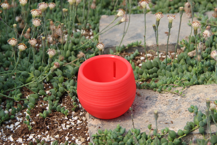 Gardening Mini Plastic Flower  - огляд і ціна Bonsai Garden Nursery