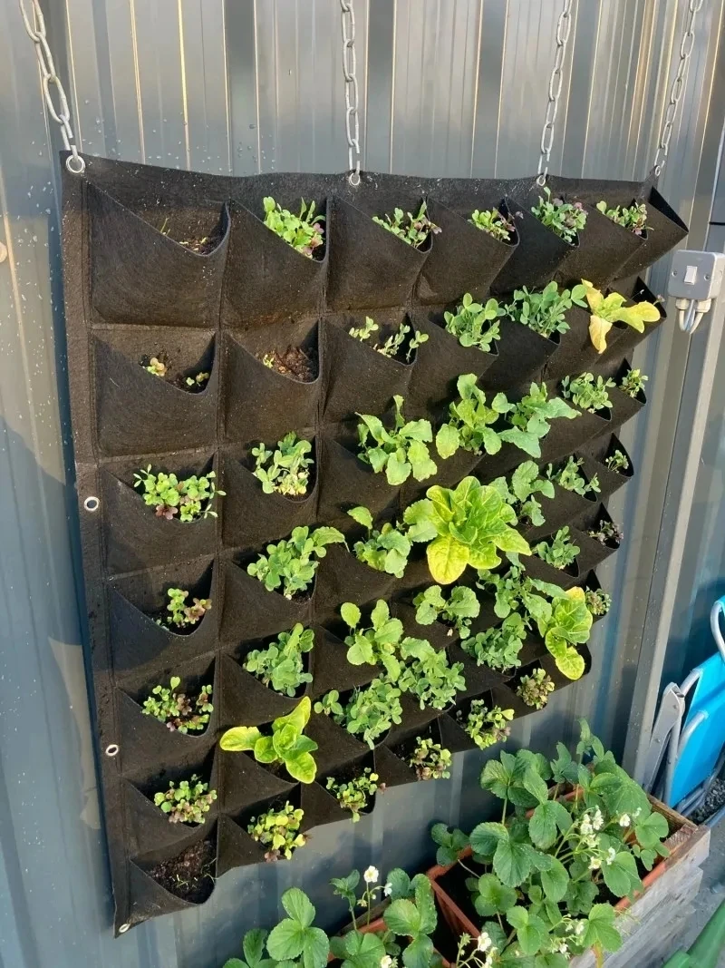 yesWall Hanging Planting Bag M - огляд і ціна Bonsai Vertical Garden