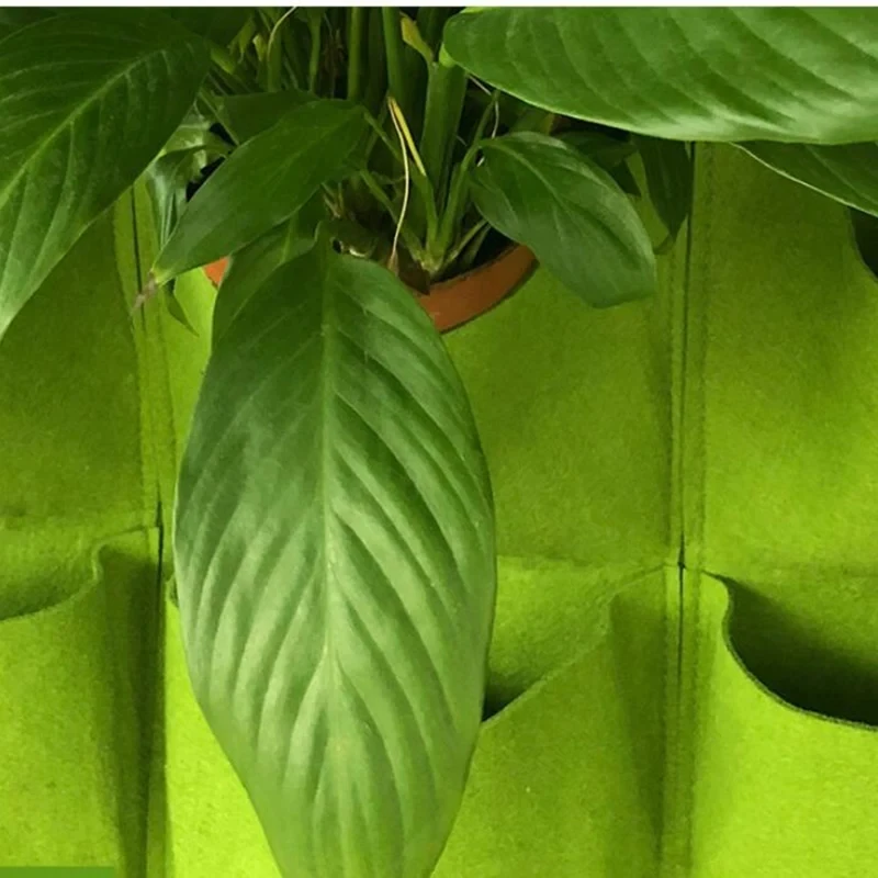 yesWall Hanging Planting Bag M - огляд і ціна Bonsai Vertical Garden