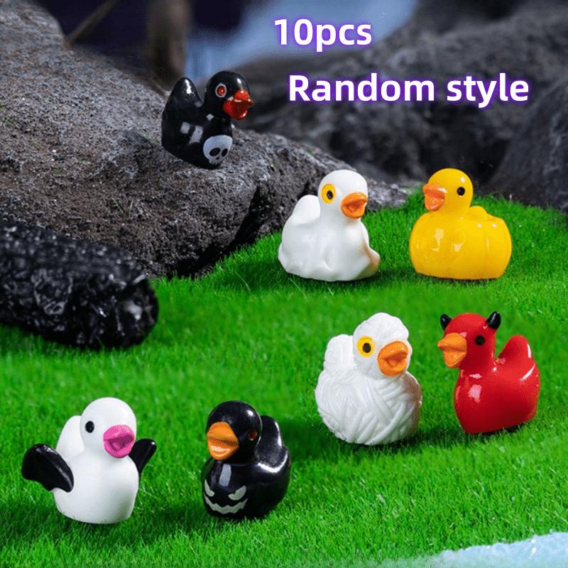 10 Pieces of Miniature Duck St - огляд і ціна Bonsai Gardenia