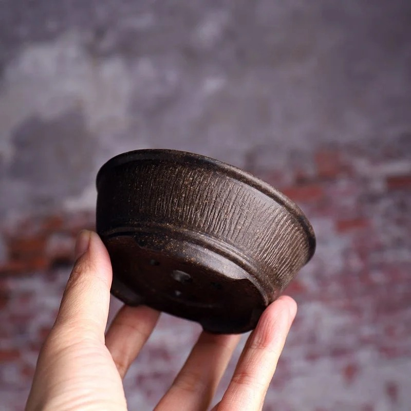 Ceramic Circle Bowl Bonsai Pot - огляд і ціна Bonsai Vertical Garden