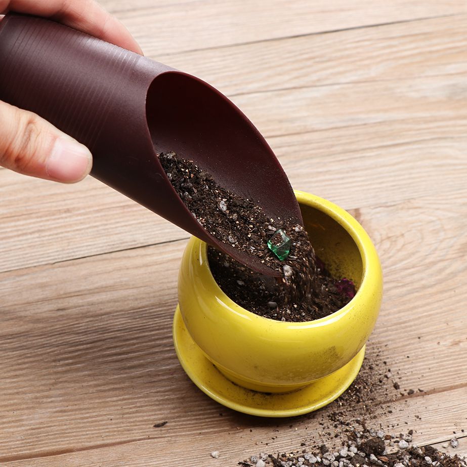 1PC Plastic Soil Shovel Cup Fo - огляд і ціна Bonsai Gardenia
