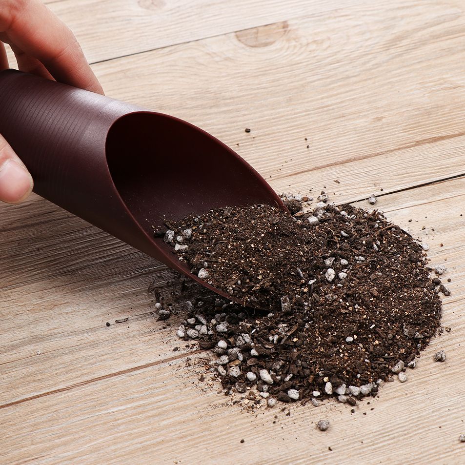 1PC Plastic Soil Shovel Cup Fo - огляд і ціна Bonsai Gardenia