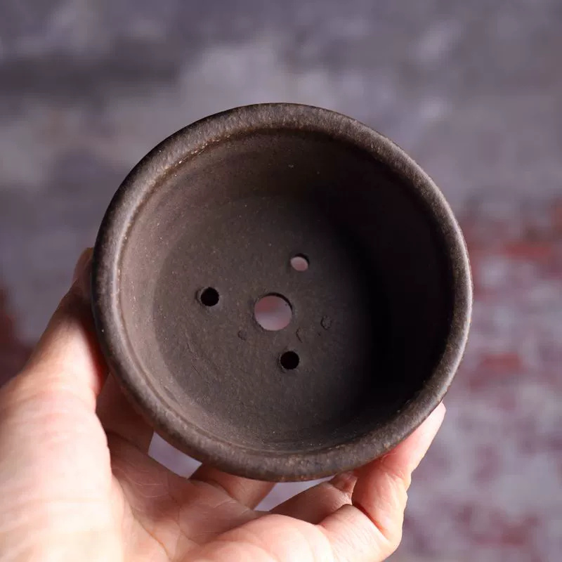Ceramic Circle Bowl Bonsai Pot - огляд і ціна Bonsai Vertical Garden